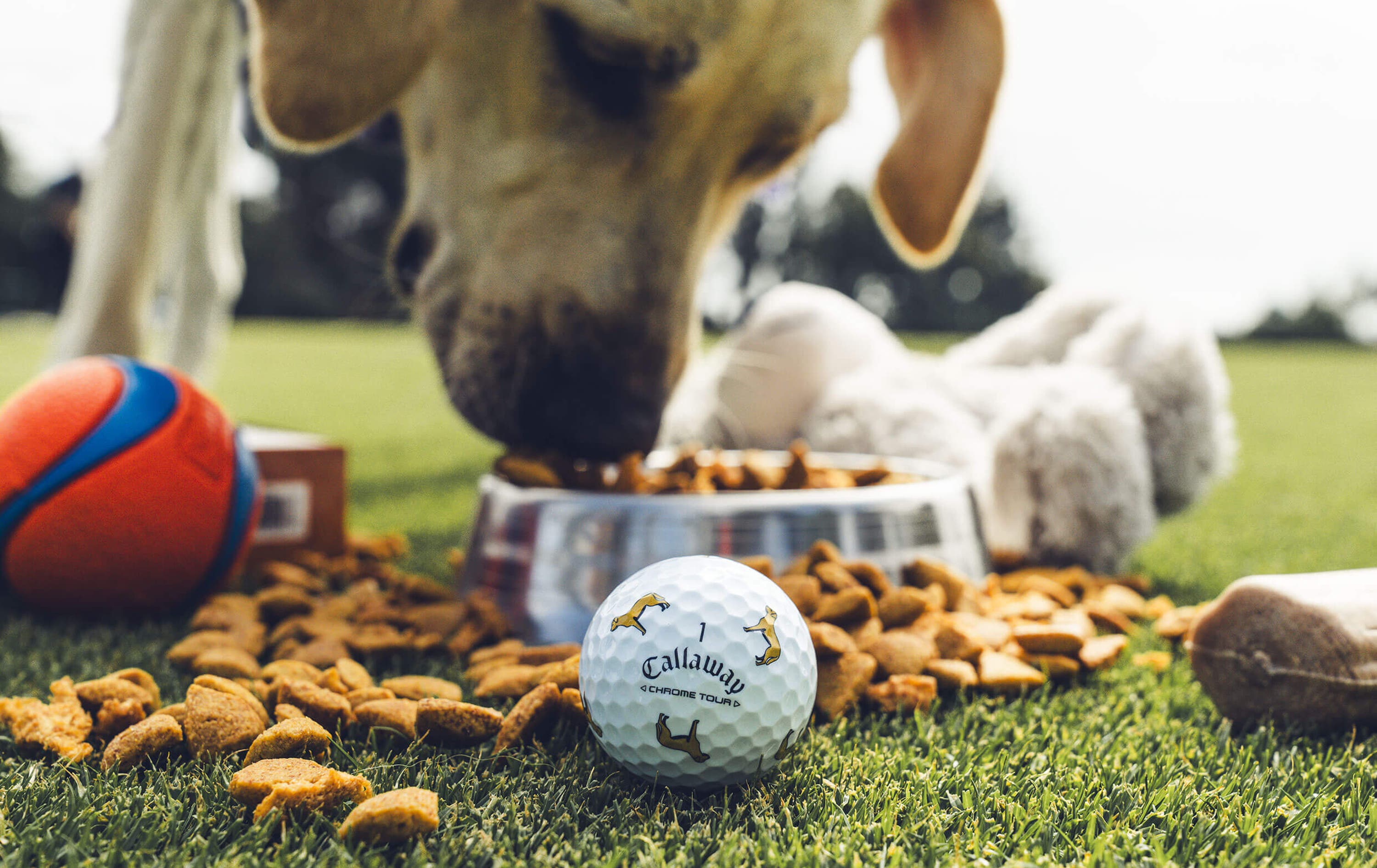 Lab Chrome Tour Golf Balls