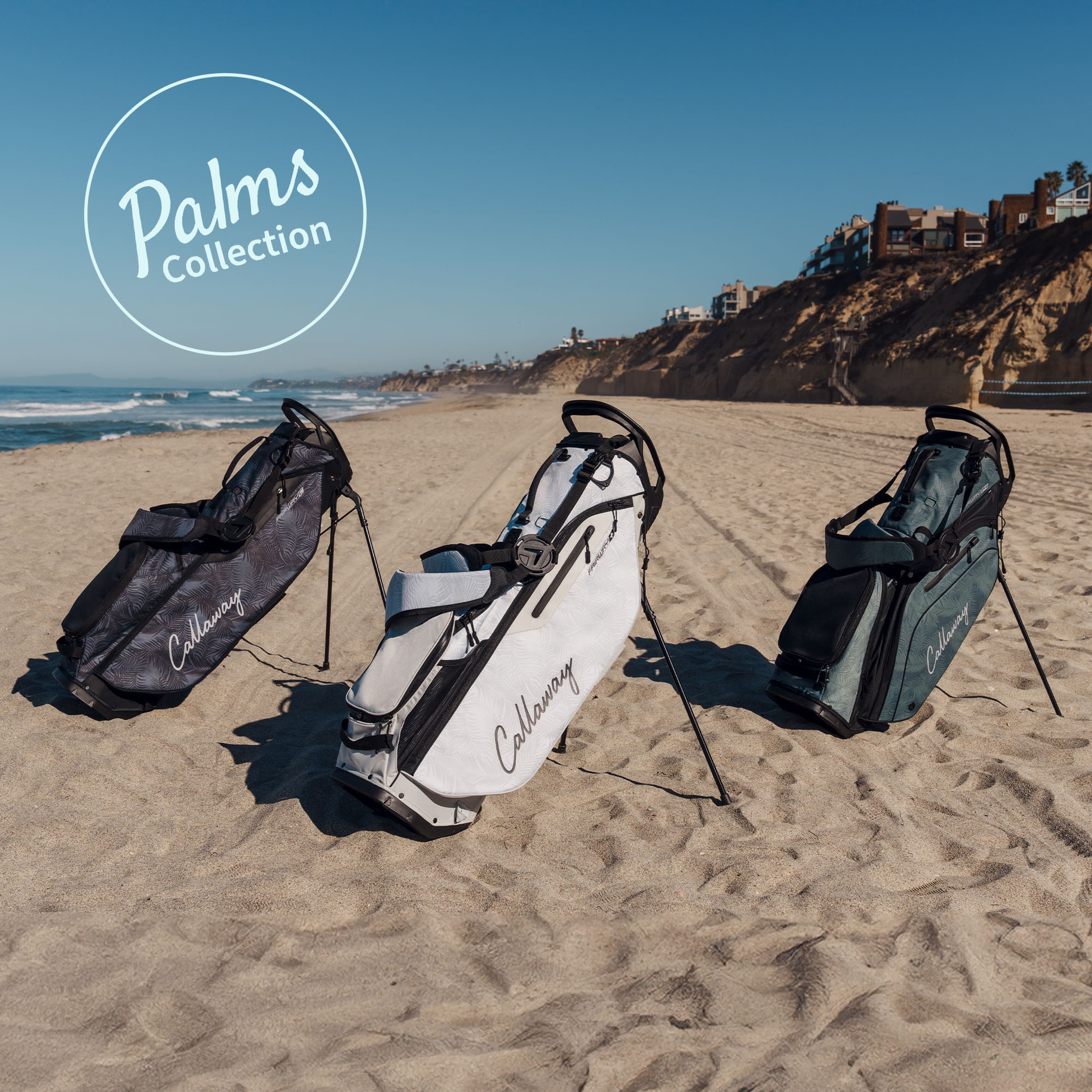 View: Palm Collection