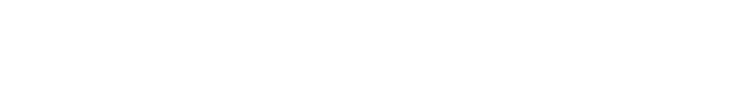 ai-dual-wht-logo.png