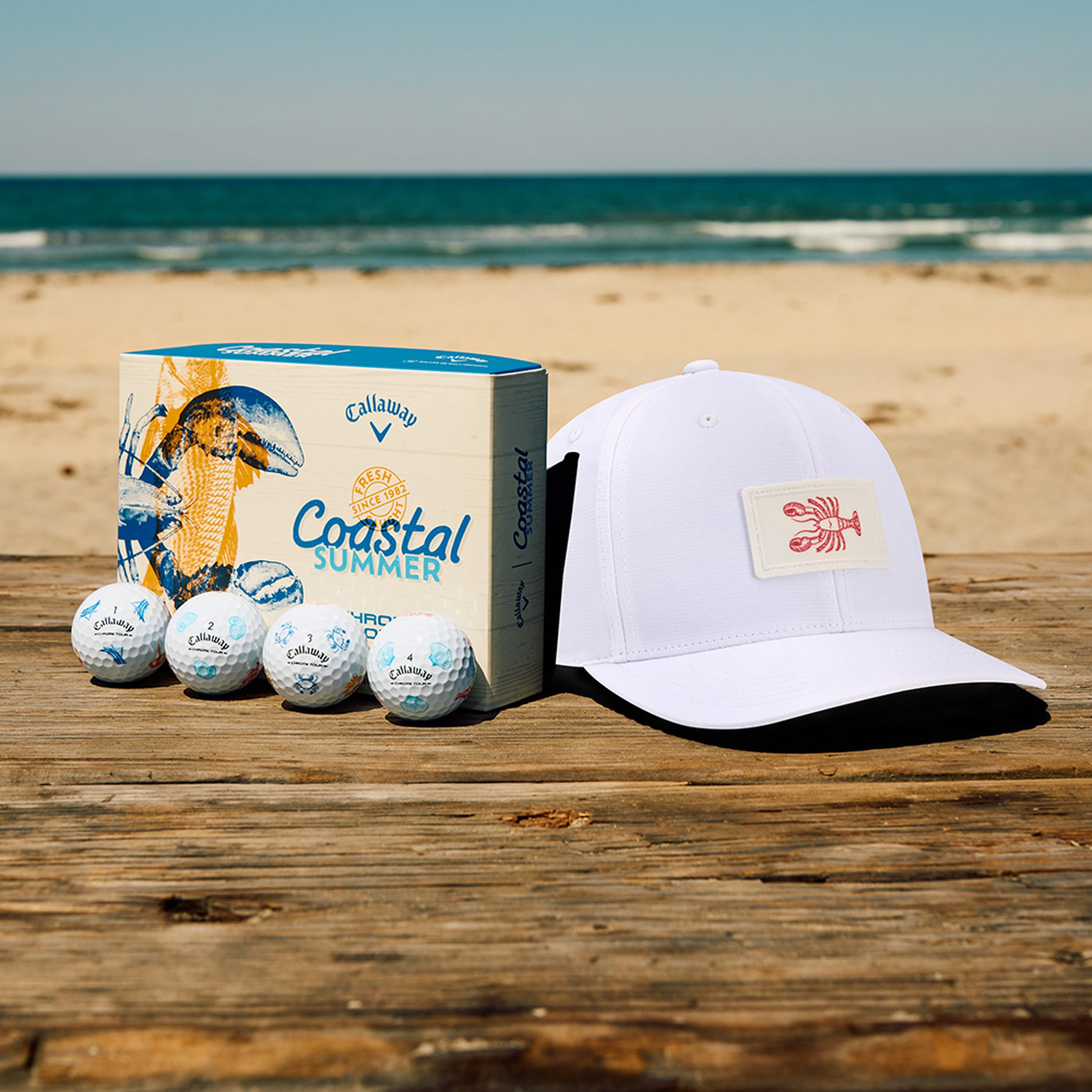 View: Coastal Summer