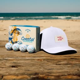 View: Coastal Summer