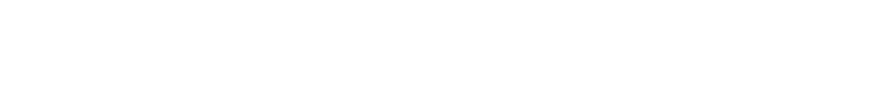 ai-dual-logo-white.png
