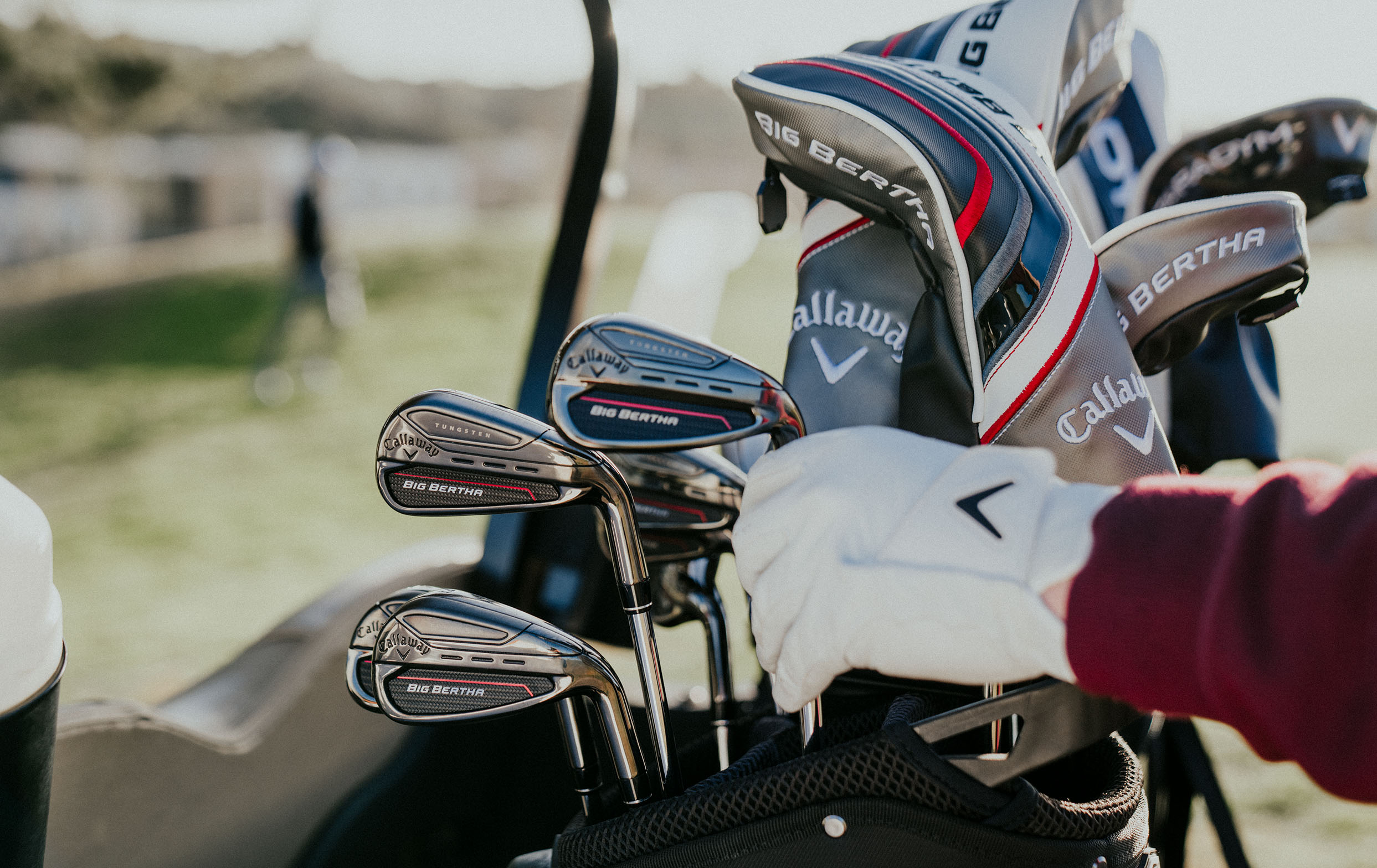 Big Bertha Hybrids