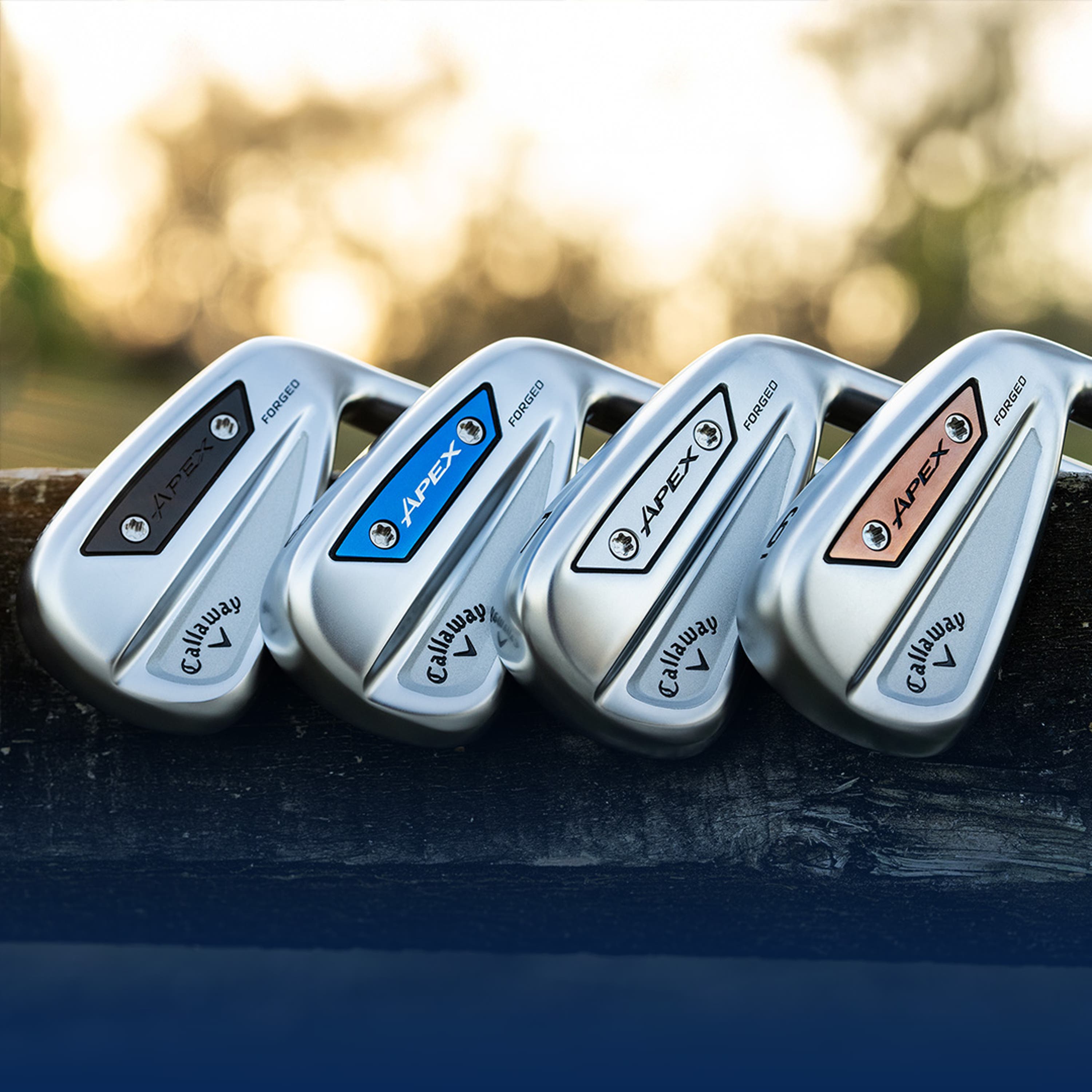 View: Apex Color Weights