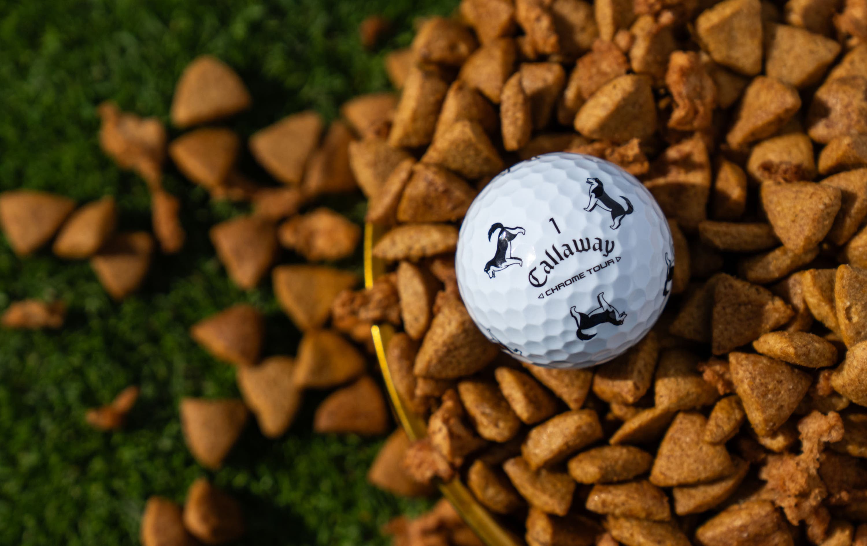 Chrome Tour Let the Big Dog Eat – Husky Golf Balls