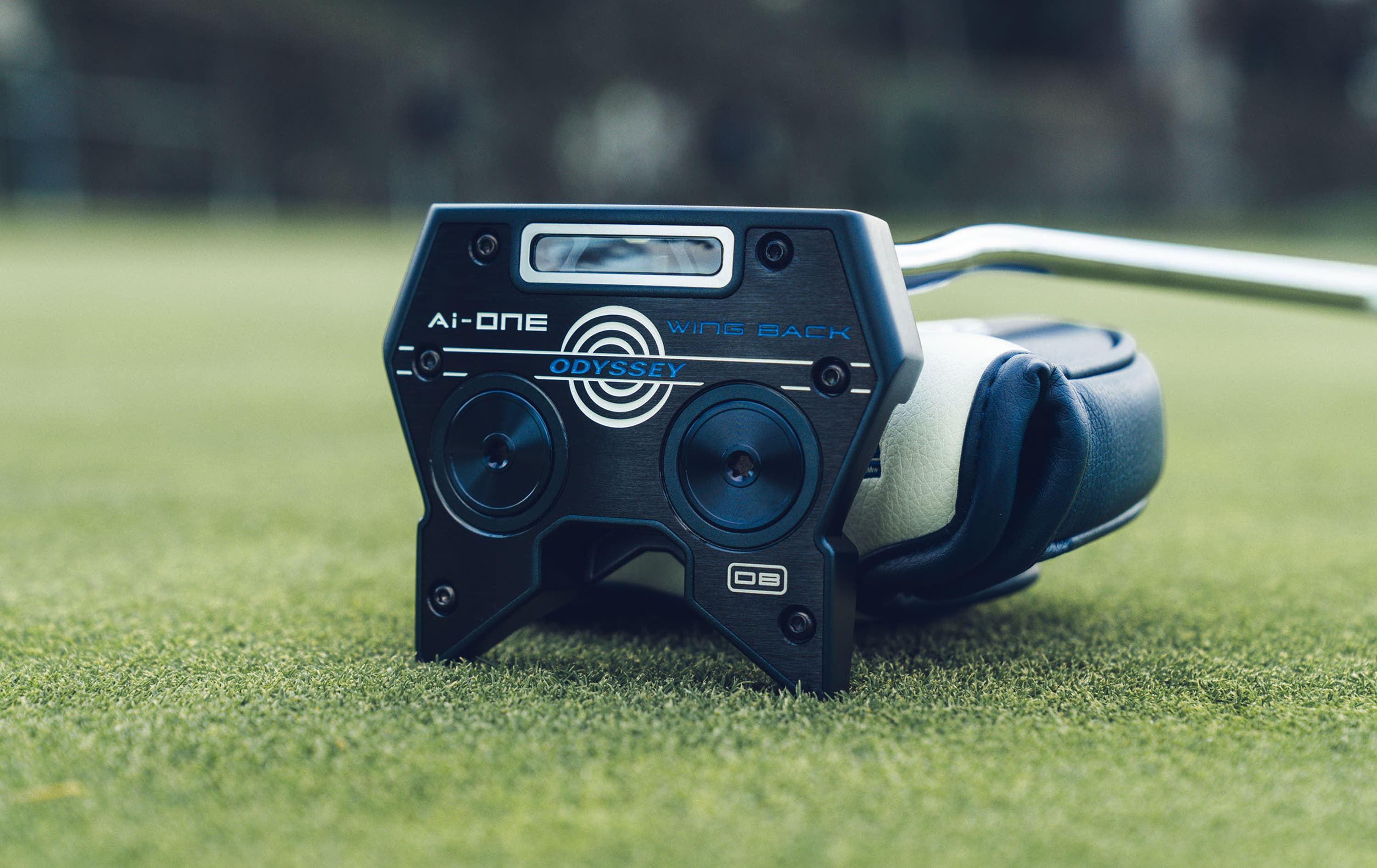 Ai-ONE Wing Back DB Putter