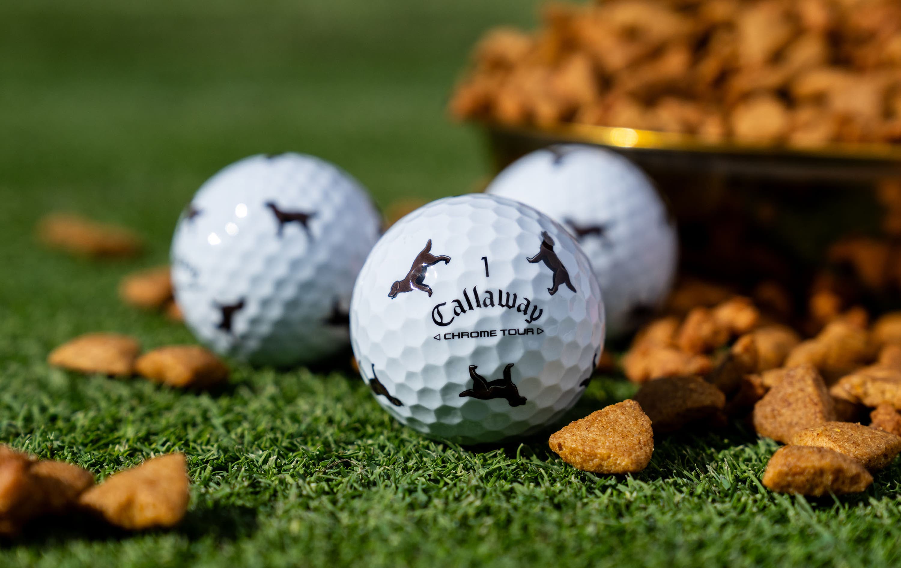 Chrome Tour Let the Big Dog Eat – Chocolate Lab Golf Balls