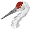 An illustration of a sandhill crane.