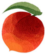 An illustration of a peach.