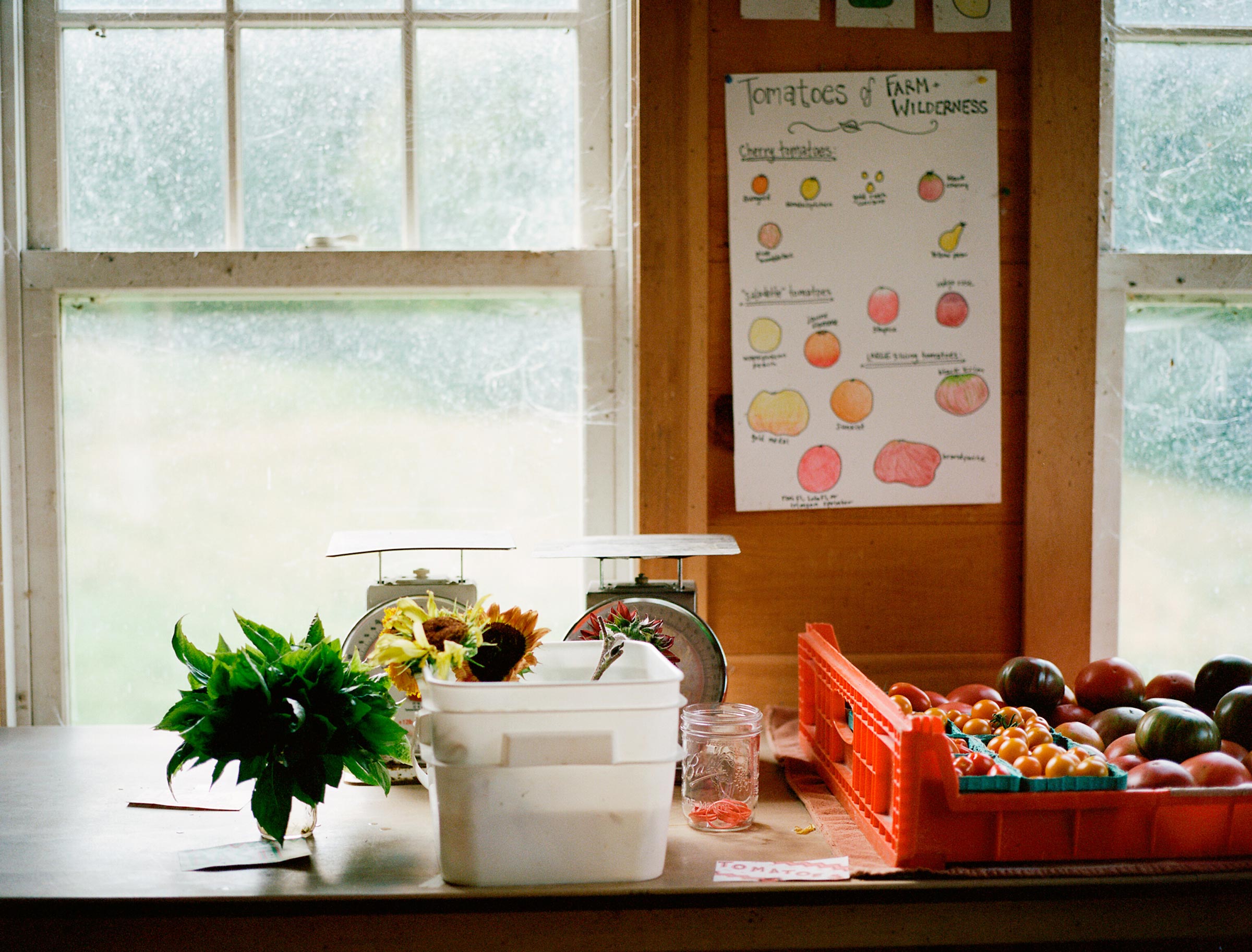 The inside of a country grocery store, with baskets of tomatoes, herbs, and measuring scales.