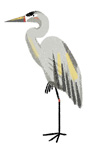 An illustration of a sandhill crane.