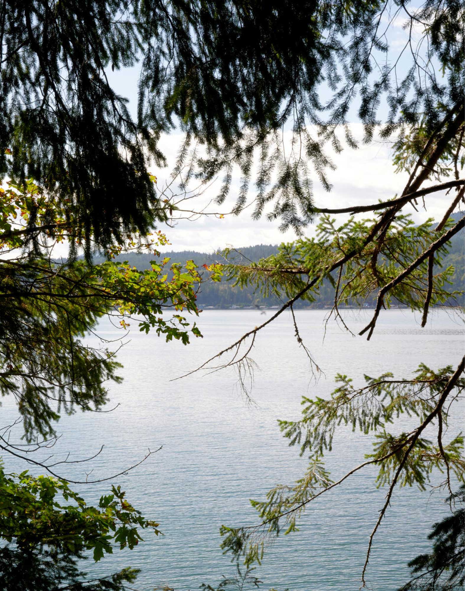 A glimpse of the lake through the trees.
