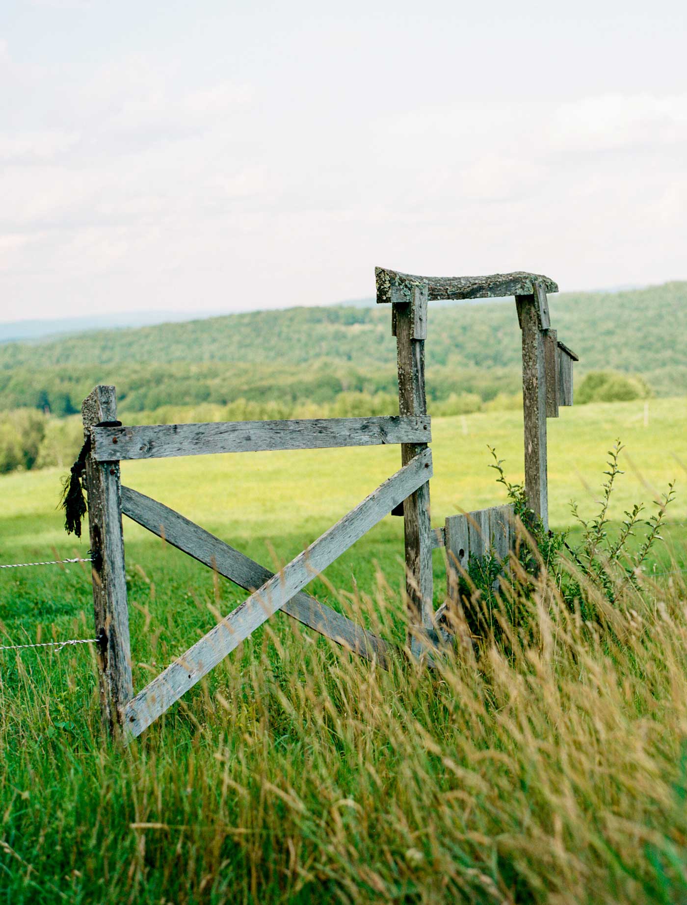 An aged wooden gate in a field.