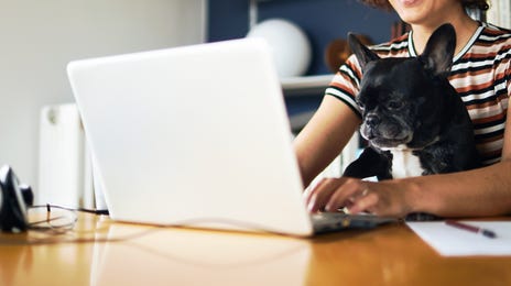 Kobieta z psem na kolanach pisząca na laptopie podczas kursu hiszpańskiego online