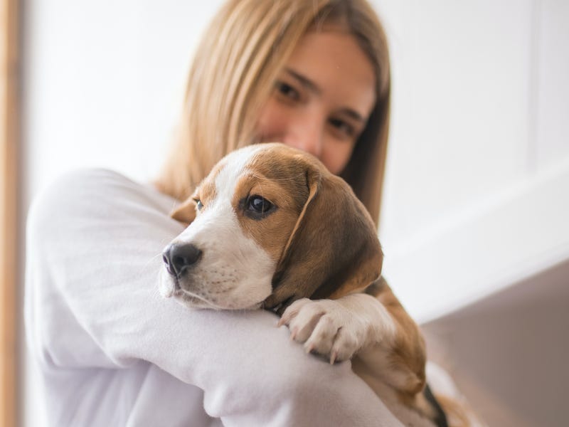 Mujer aprendiendo a decir perro en alemán