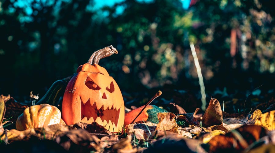 Frases de halloween en inglés