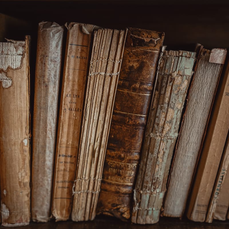 Libros viejos sobre palabras antiguas en diferentes idiomas.