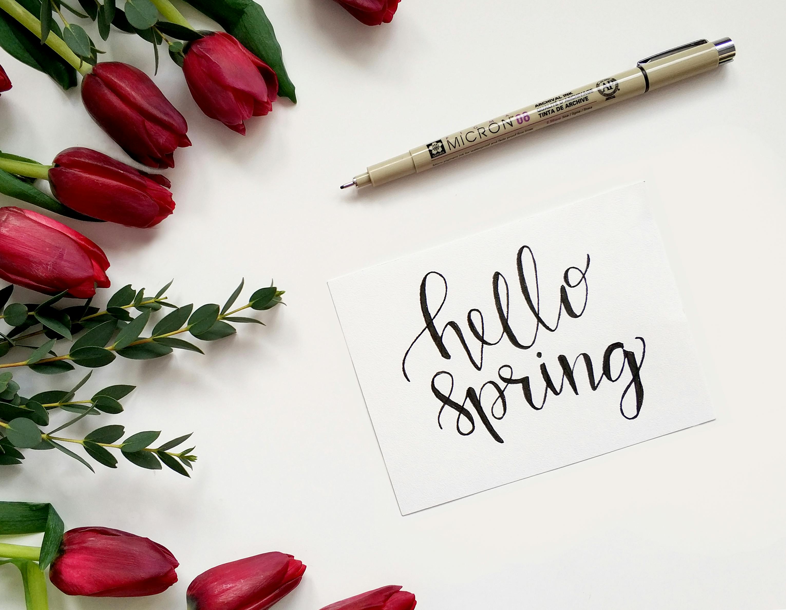 "Hello Spring" en un papel al lado de flores rojas para representar la primavera en inglés.