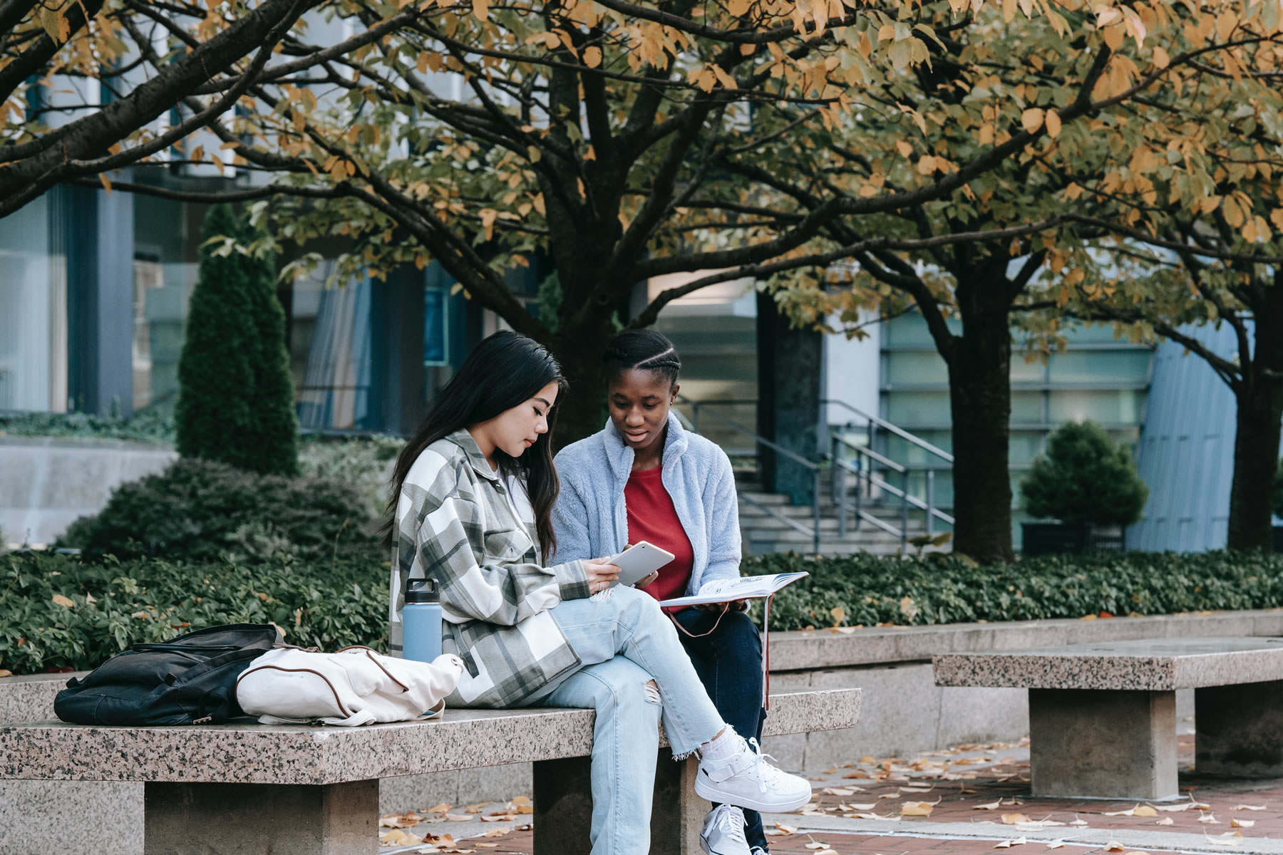 Aprende distintos diálogos en inglés
