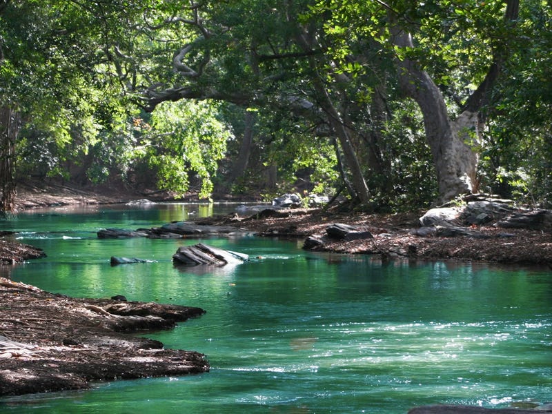 Elementos naturales en inglés