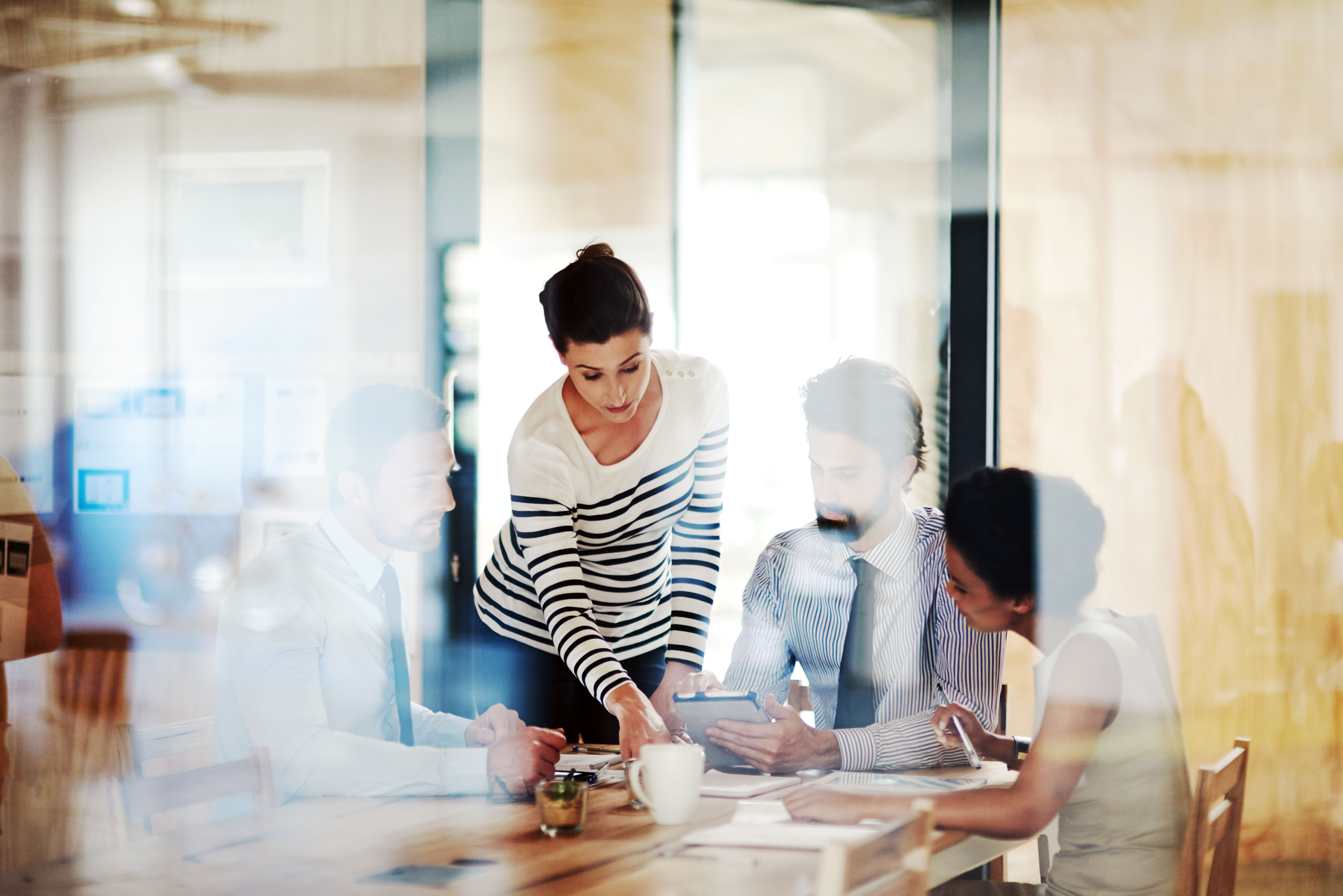 Una persona explicando su trabajo en reunión