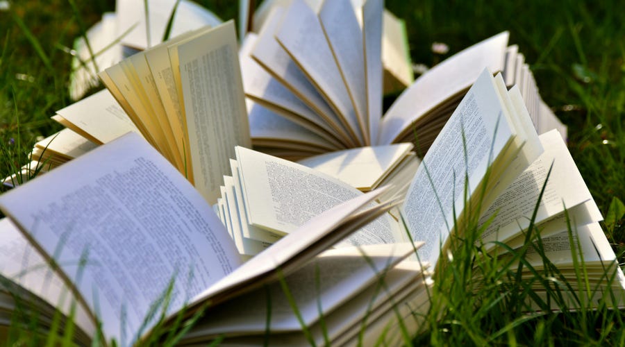 Libros en inglés abiertos en el jardín.