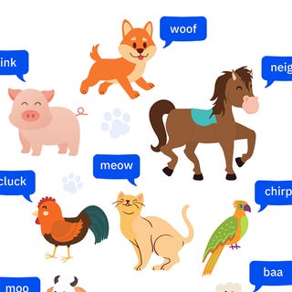 Conoce los sonidos de distintos animales en inglés
